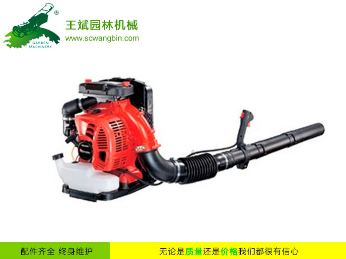 背負(fù)式風(fēng)力滅火機(jī)-便攜式風(fēng)力滅火機(jī)-四川成都風(fēng)力滅火機(jī)銷售