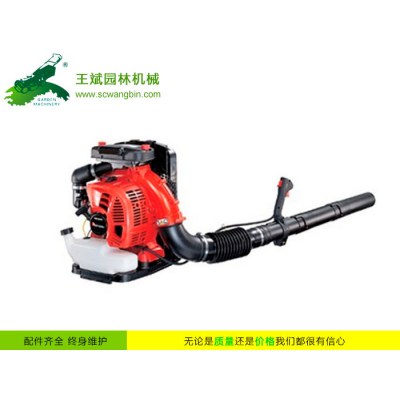 背負(fù)式風(fēng)力滅火機-便攜式風(fēng)力滅火機-四川成都風(fēng)力滅火機銷售