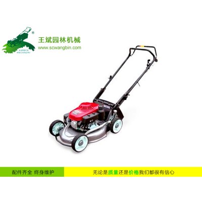 草坪機 -打草機 -四川成都電動打草機